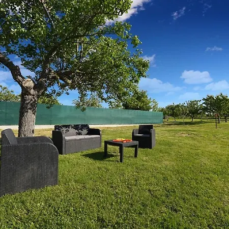 Beautiful Petra With Summer Kitchen And Pool Lovinac (Zadar)